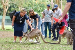 gallery_88_4476_191120124504-S