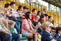 gallery_88_4483_191120124753-S